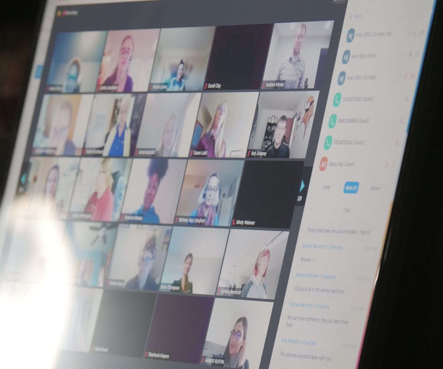 Virtual Event Attendees